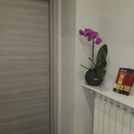 Bed and breakfast Via Piave Da Lillo 4*