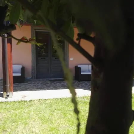 Via Piave Da Lillo Bed and breakfast Frosinone