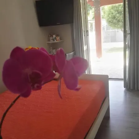 Bed and breakfast Via Piave Da Lillo